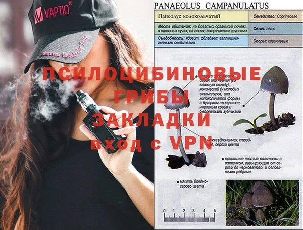 бошки Лиски