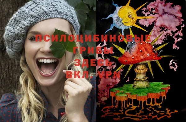 бошки Лиски