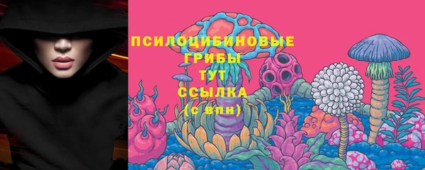 бошки Лиски