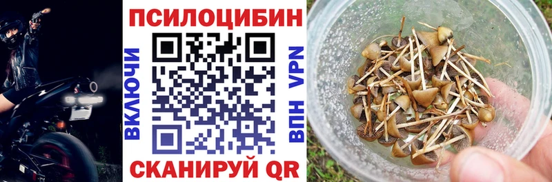 Купить закладки  Мосальск  Псилоцибиновые грибы мицелий 